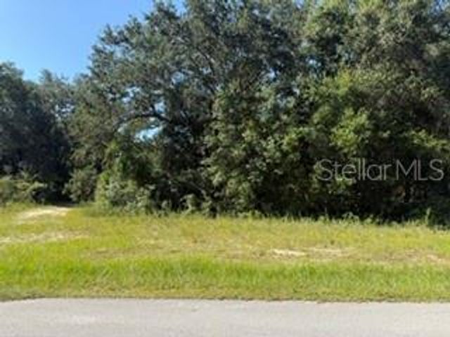TBD SE 59TH PLACE, Ocklawaha, FL 32179
