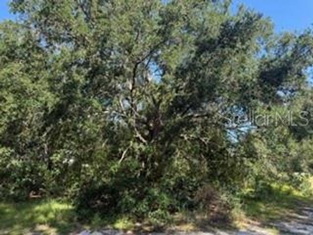 TBD SE 59TH PLACE, Ocklawaha, FL 32179