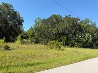 TBD SE 59TH PLACE, Ocklawaha, FL 32179