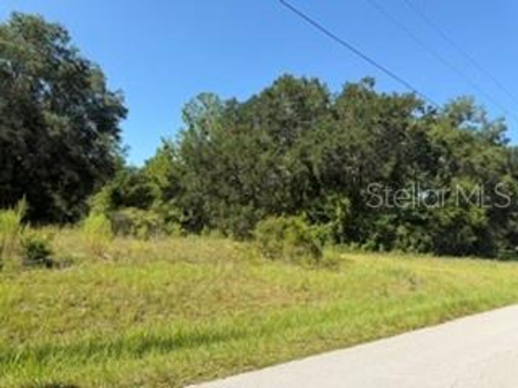 TBD SE 59TH PLACE, Ocklawaha, FL 32179