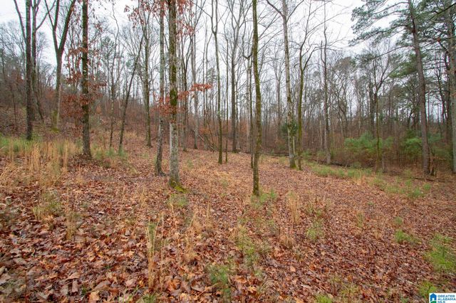 184 WALNUT STREET, Leeds, AL 35094