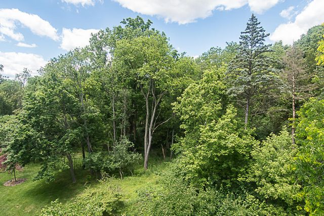 4040 Greenleaf Circle 408, Kalamazoo, MI 49008