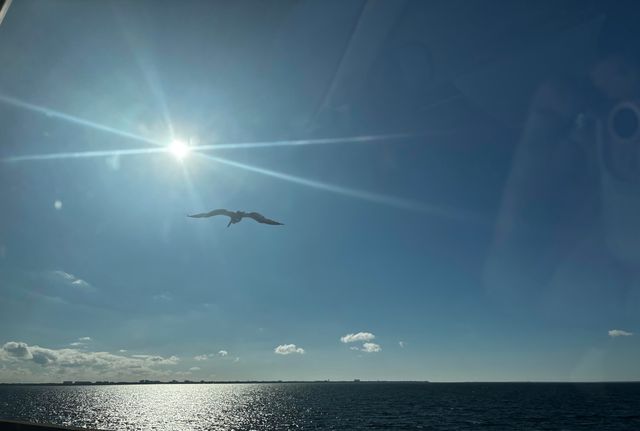 256 N Driftwood Bay UNIT 42A, Miramar Beach, FL 32550