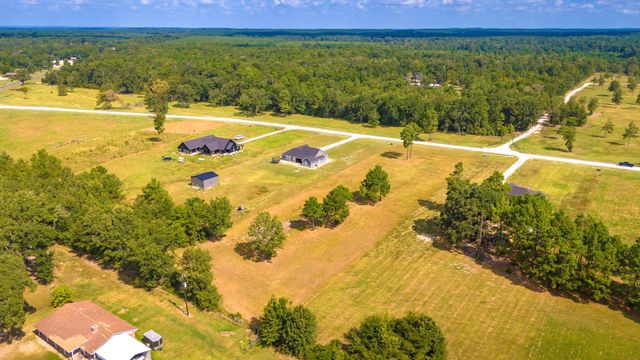 350 Brushy Creek Drive, Onalaska, TX 77360