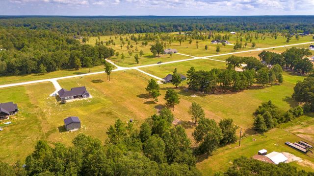 350 Brushy Creek Drive, Onalaska, TX 77360