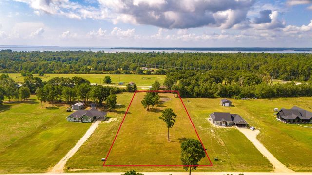 350 Brushy Creek Drive, Onalaska, TX 77360