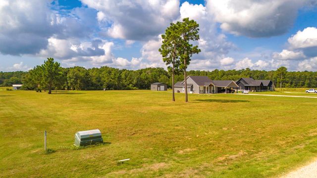 350 Brushy Creek Drive, Onalaska, TX 77360