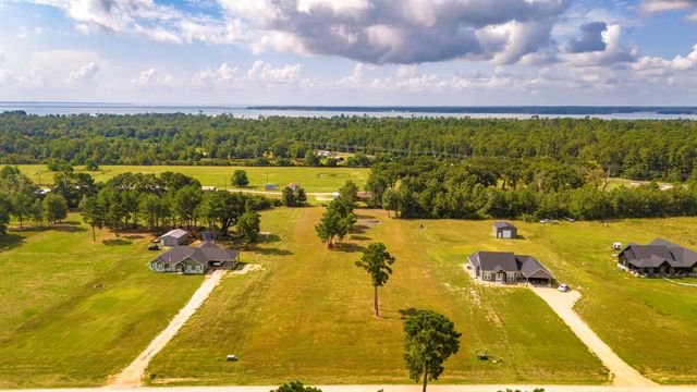 350 Brushy Creek Drive, Onalaska, TX 77360