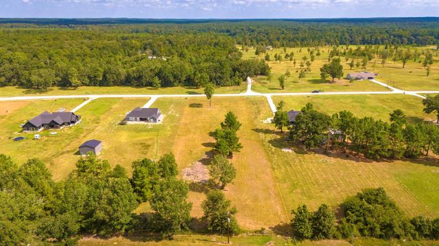 350 Brushy Creek Drive, Onalaska, TX 77360