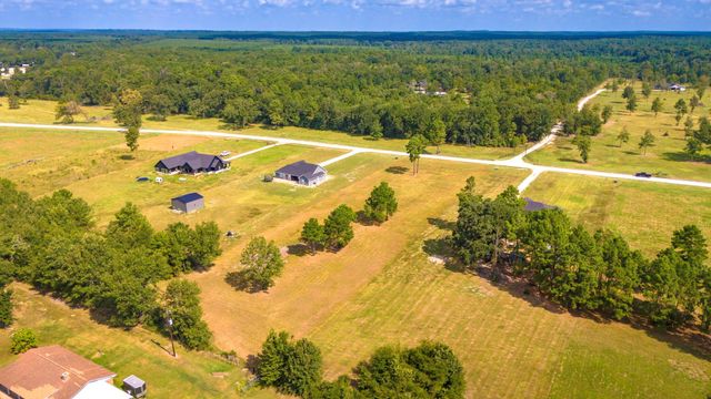 350 Brushy Creek Drive, Onalaska, TX 77360