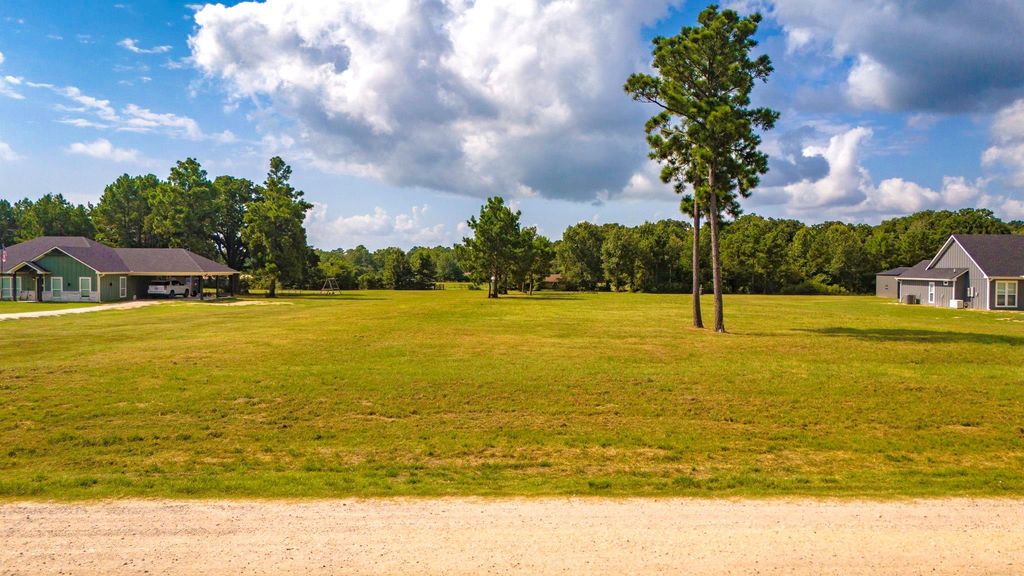 350 Brushy Creek Drive, Onalaska, TX 77360