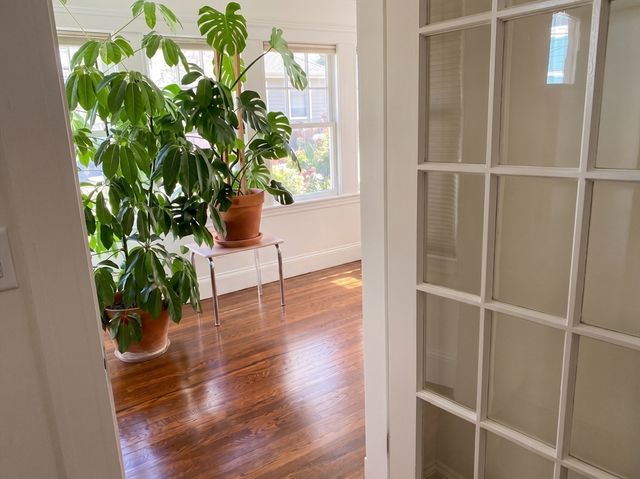 43 Lee St 1, Cambridge, MA 02139