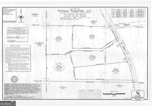 TRACT5 Georgia Highway 100, Buchanan, GA 30113