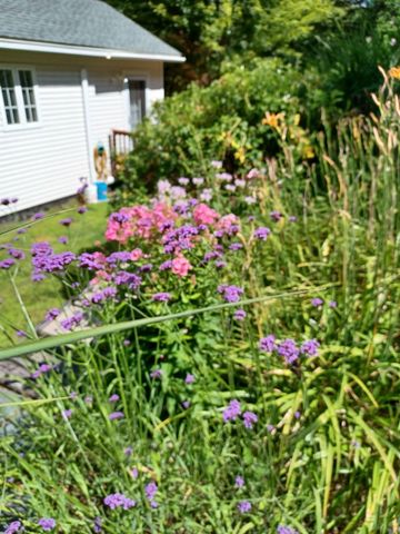 313 South Pine Banks Road, Putney, VT 05346