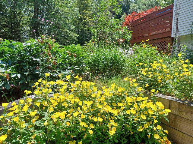 313 South Pine Banks Road, Putney, VT 05346