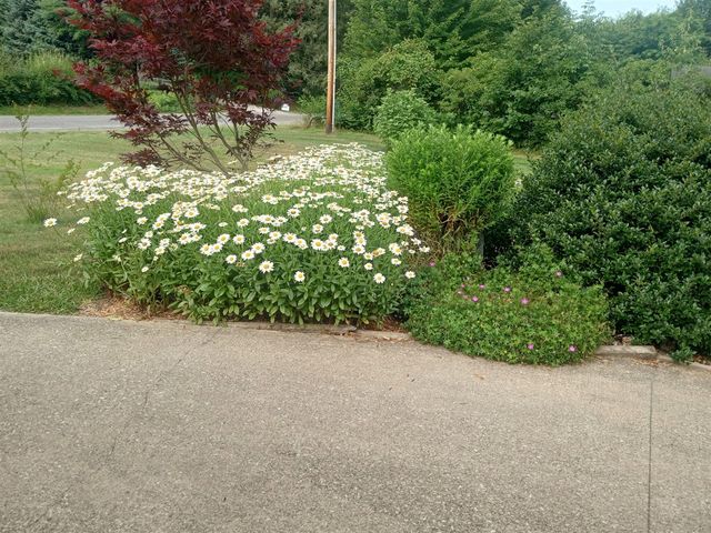 4453 Hicks Avenue, Benton Harbor, MI 49022