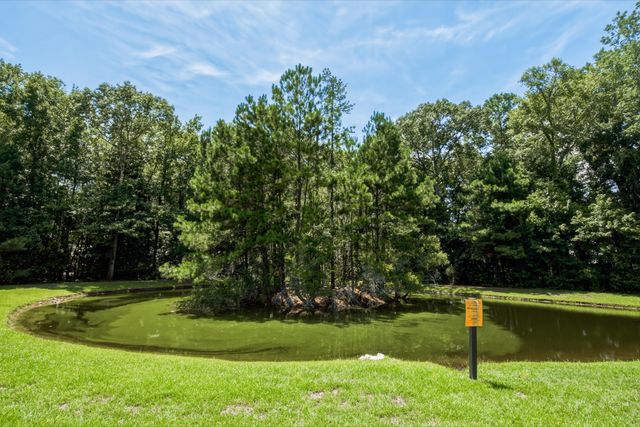 1581 Bluewater Way, Charleston, SC 29414