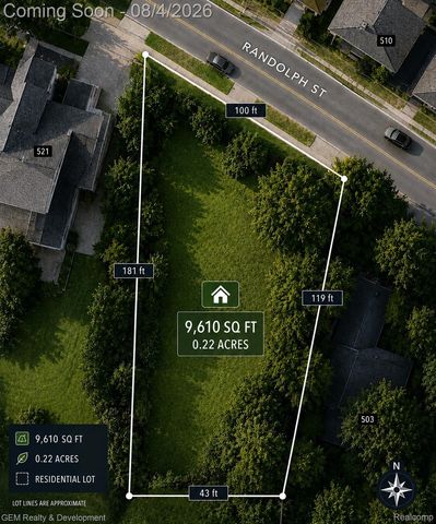507 Randolph St. Street, Northville, MI 48167