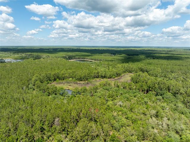 29505 NORTH BOULEVARD, Paisley, FL 32767