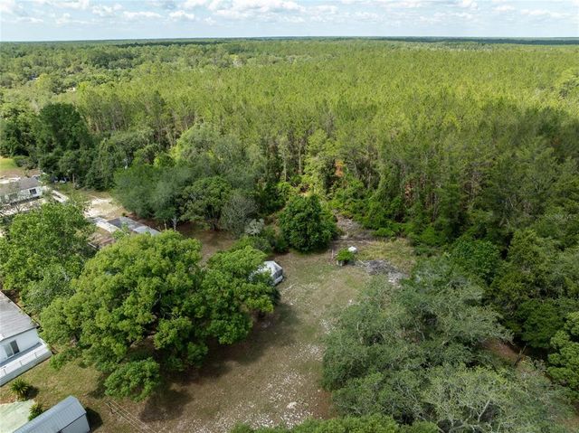 29505 NORTH BOULEVARD, Paisley, FL 32767