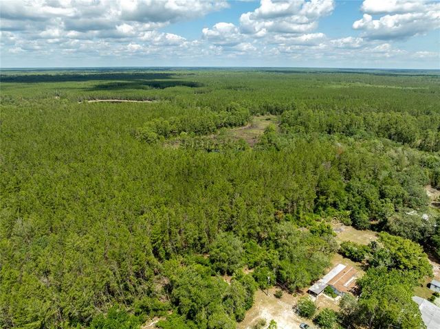 29505 NORTH BOULEVARD, Paisley, FL 32767