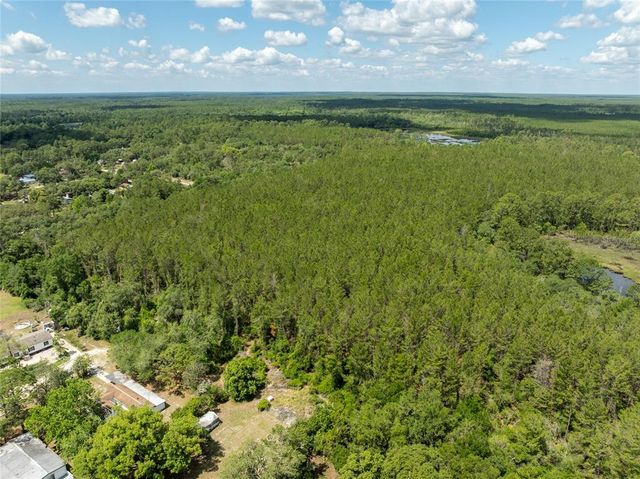 29505 NORTH BOULEVARD, Paisley, FL 32767