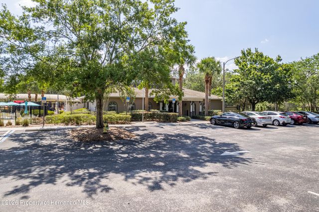 13772 Dunwoody Drive, Spring Hill, FL 34609