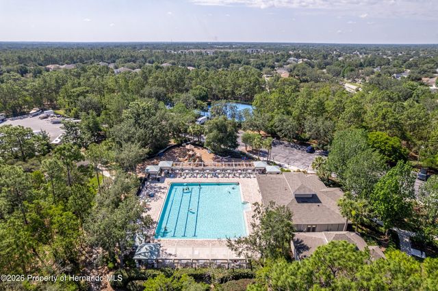 13772 Dunwoody Drive, Spring Hill, FL 34609
