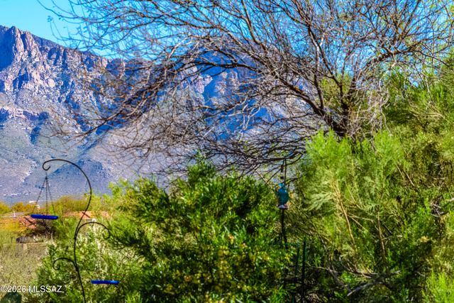 739 W Buffalo Grass Drive, Oro Valley, AZ 85755