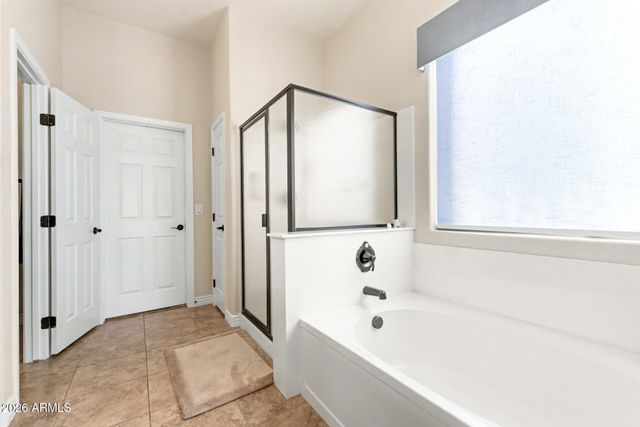 41942 W PALMYRA Court, Maricopa, AZ 85138