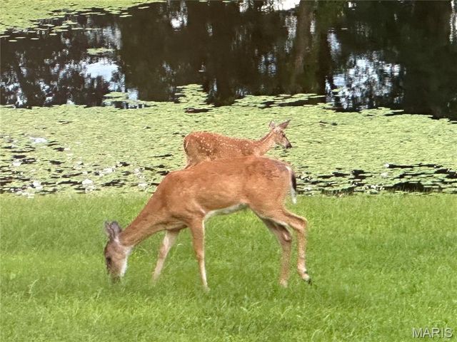 2535 S Highway 19, Salem, MO 65560