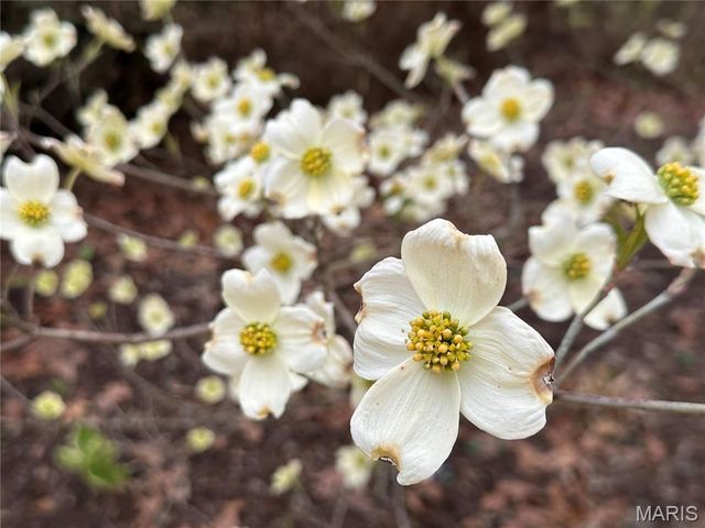 2535 S Highway 19, Salem, MO 65560