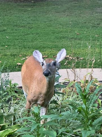 2535 S Highway 19, Salem, MO 65560