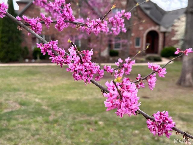 2535 S Highway 19, Salem, MO 65560