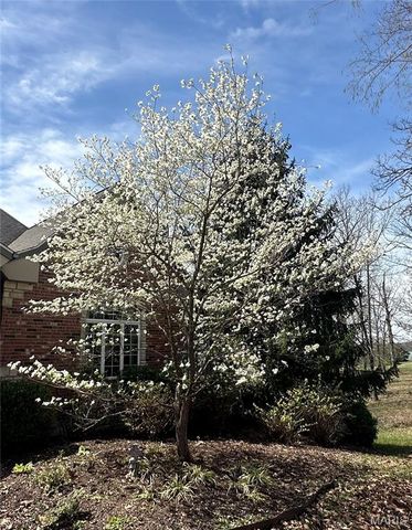 2535 S Highway 19, Salem, MO 65560