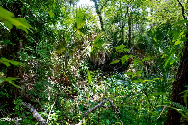 15 River Ridge Trail, Ormond Beach, FL 32174