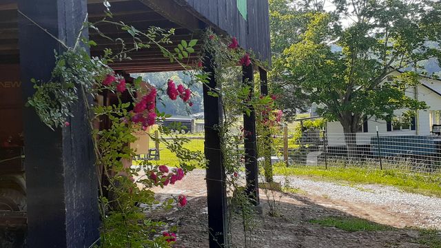 5446 KY 378, Vancleve, KY 41385