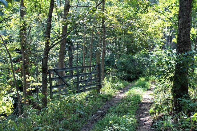 5446 KY 378, Vancleve, KY 41385