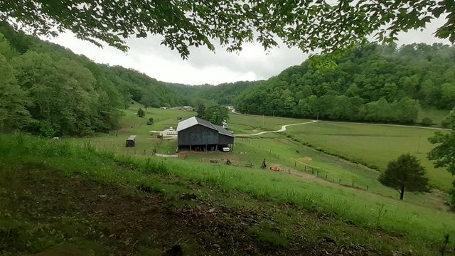 5446 KY 378, Vancleve, KY 41385