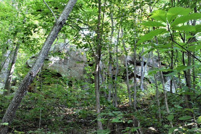5446 KY 378, Vancleve, KY 41385