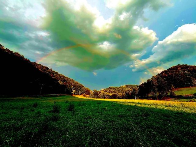 5446 KY 378, Vancleve, KY 41385