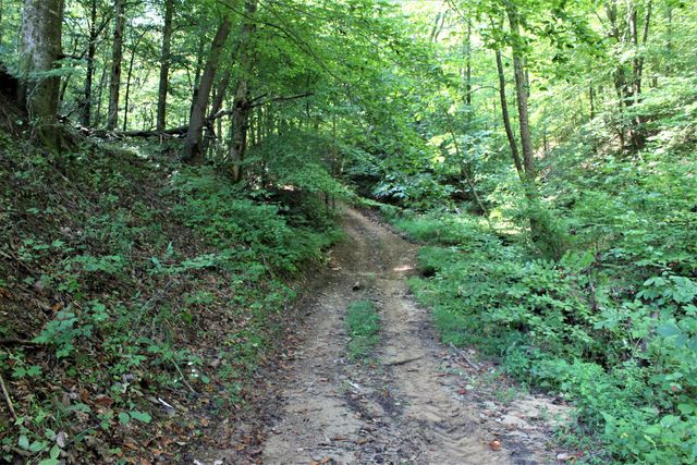 5446 KY 378, Vancleve, KY 41385