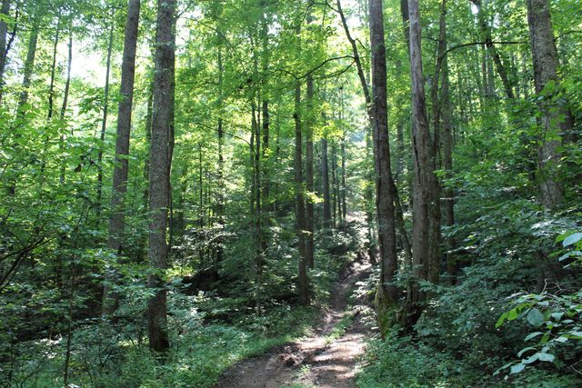 5446 KY 378, Vancleve, KY 41385