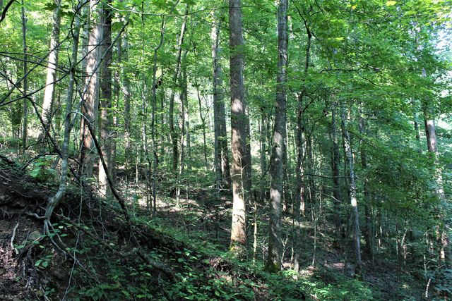 5446 KY 378, Vancleve, KY 41385