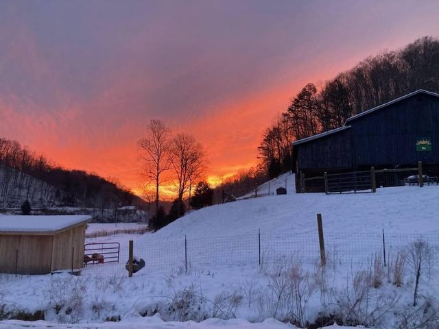 5446 KY 378, Vancleve, KY 41385