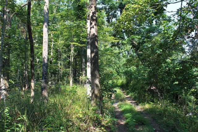 5446 KY 378, Vancleve, KY 41385