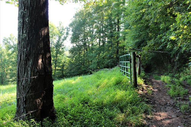 5446 KY 378, Vancleve, KY 41385