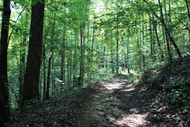 5446 KY 378, Vancleve, KY 41385