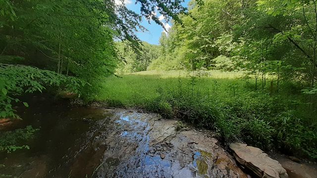 5446 KY 378, Vancleve, KY 41385