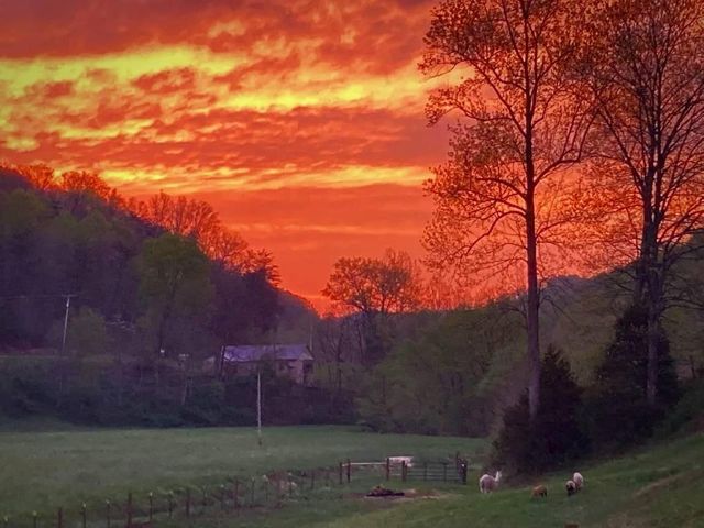 5446 KY 378, Vancleve, KY 41385